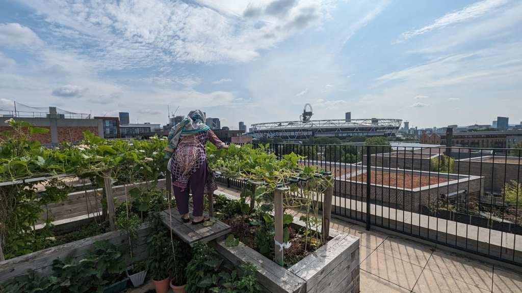 The world within a&nbsp;garden